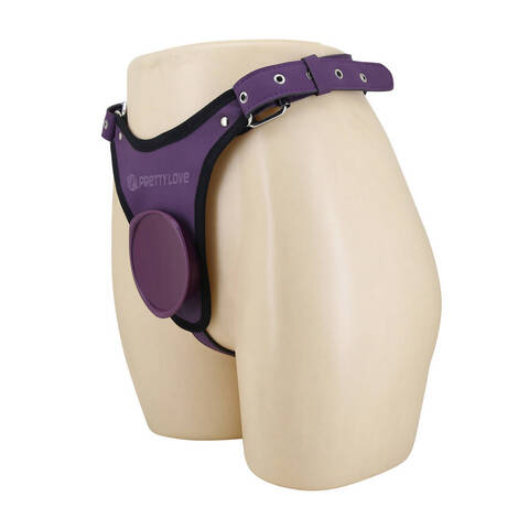 Трусы Harness Briefs, фиолетовые